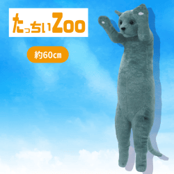 【ロシアンブルー】たっちぃZooにゃんこ