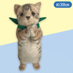 【キジトラ】チョコントにゃんこヌイグルミおねだり2