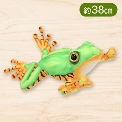 【グリーン×オレンジ】リアルカエルぬいぐるみVer.4