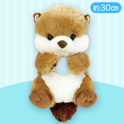 【ラッキー】うきうきラッコともだちがやってきたJB