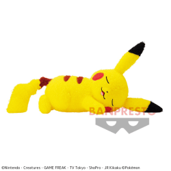【ピカチュウ】ポケットモンスター くつろぎタイム でっかいぬいぐるみ〜ピカチュウ・リザードン〜