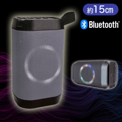 【グレー】ネオンスピーカーDELL