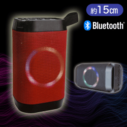 【レッド】ネオンスピーカーDELL