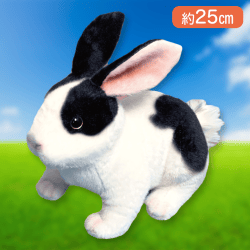 【白黒】りあるあにまるず　うさぎ