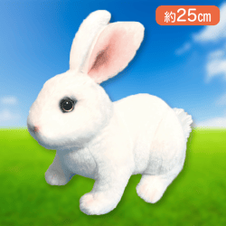 【ホワイト】りあるあにまるず　うさぎ