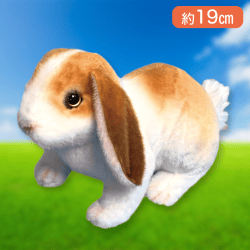 【ブラウン】りあるあにまるず　うさぎ