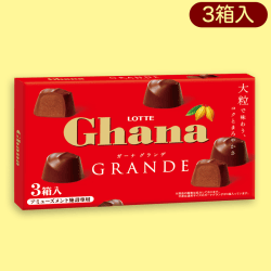 【ガーナ】大粒ガーナ&クランキービッツBIGBOX※賞味期限:2023/8