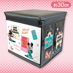 【ミッキー&ミニー】ディズニー収納スツール