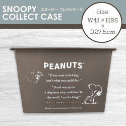 【ウッドストック×スヌーピー】スヌーピーコレクトケース