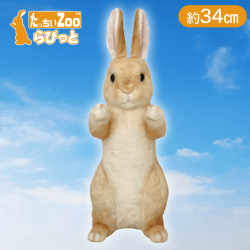 【ブラウン】たっちぃZOOらびっと