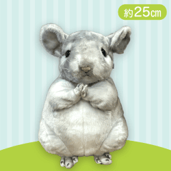 【チンチラ】チョコントアニマル おねだり チンチラプレーリー