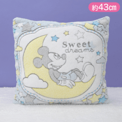 ミッキー＆ミニー　プレミアムfuwa＆hugクッション