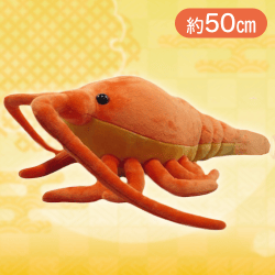 【橙】伊勢海老ぬいぐるみBIG