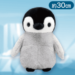 【グレー】ペンギンアイランドコロニーJB