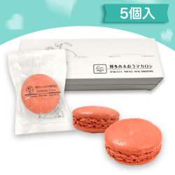 博多あまおうマカロン5個セット