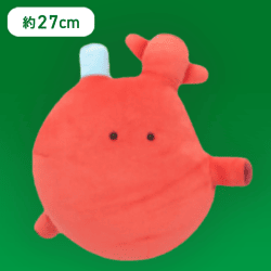 【しんぞう】FANS もちもちにんげんのからだぬいぐるみBIG