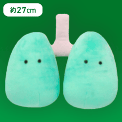 【はい】FANS もちもちにんげんのからだぬいぐるみBIG