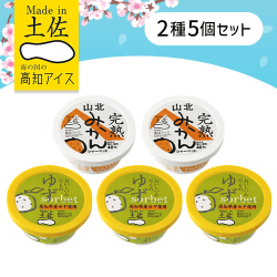 【5個セット】高知の特産シャーベット