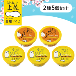 【5個セット】旬の柑橘シャーベット