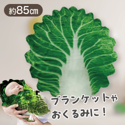 【白菜】たべものぶらんけっと