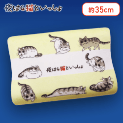 【いろいろ】夜は猫といっしょ 低反発まくら
