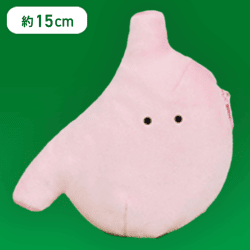 【い】FANS にんげんのからだぬいぐるみポーチ