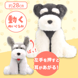 【タール】くったりシュナウザーお耳パタパタJB2