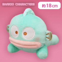 【ハンギョドン】サンリオキャラクターズ ましゅまるむいっしょにねんねぬいぐるみ