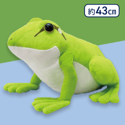 【アマガエル】ぴょこんとアマガエルポイズンウルトラBIG