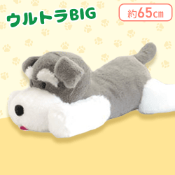 【ボブ舌出し】くったりシュナウザー寝そべりウルトラBIG