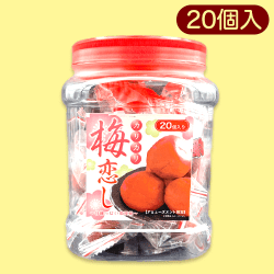 カリカリ梅恋し※賞味期限:2023/10/20