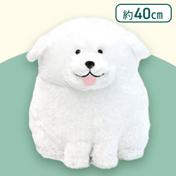 【舌出し】むっちりグレートピレニーズウルトラBIG