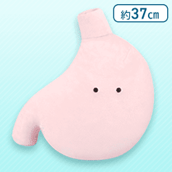 【い】FANS にんげんのからだぬいぐるみXL