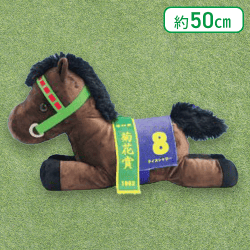 【ライスシャワー】名馬伝説BIG