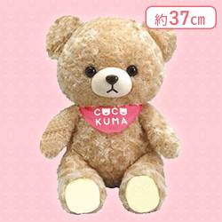 【ブラウン】ここくまBIG