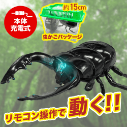 【オオクワガタ】赤外線コントロールカブトムシ2