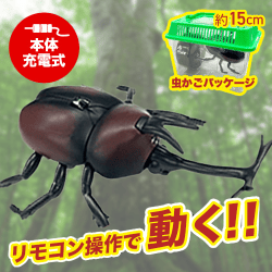 【カブトムシ】赤外線コントロールカブトムシ2