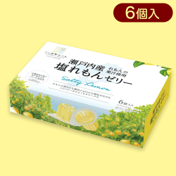 【塩れもん】ニッポンエールポーションゼリーお手頃BOX※賞味期限:2023/11/30