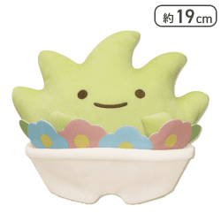 【ざっそう】すみっコぐらし みにっコとあそぼ おおきなころっとぬいぐるみBIG