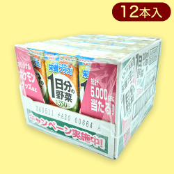 紙1日分の野菜半ケース※賞味期限:2024/5/11
