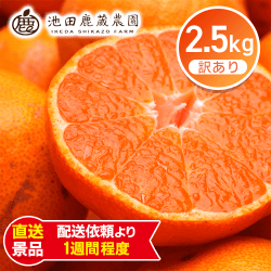 わけあり有田みかん2.5㎏