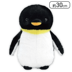 【しこうてい】ペンギンアイランドコミュニティJB