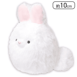 【ドワーフ・ホワイト】ぶるぶる！うさぴょん