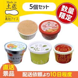 【5個セット】高知アイス福袋B　※数量限定※