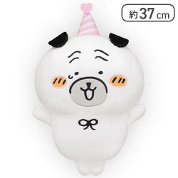 【パグさん】ナガノキャラクターズ パグさんおめでとうBIGぬいぐるみ