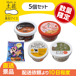 【5個セット】高知アイス福袋A　※数量限定※