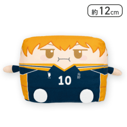 【日向 翔陽】ハイキュー！！ はこぬい