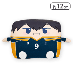 【影山 飛雄】ハイキュー！！ はこぬい