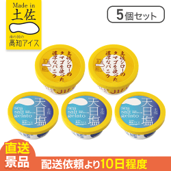 【5個セット】高知の素材アイス※賞味期限: