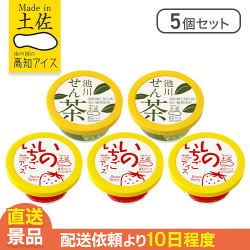 【5個セット】春のアイスクリーム※賞味期限: